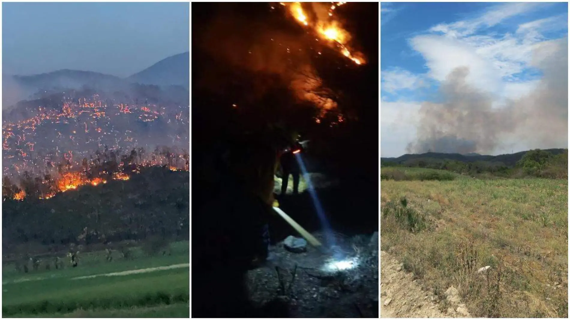 Incendios forestales en SLP